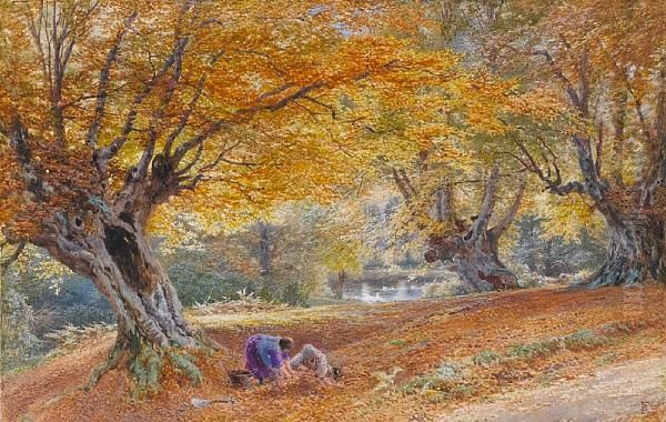 Burnham Beeches Oil Painting by Myles Birket Foster