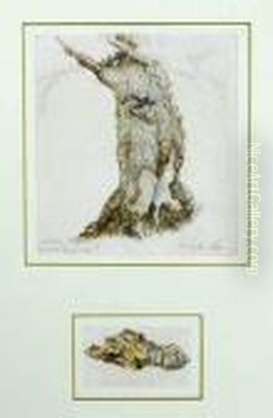 Wych Elm; Bark Of The Wych Elm Oil Painting by Myles Birket Foster