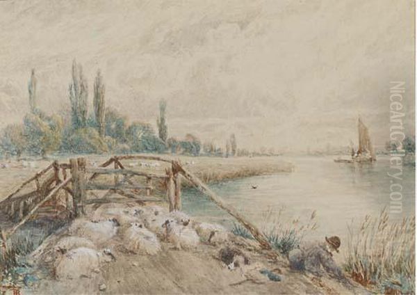 A Young Shepherd With His Flock On A Riverbank Oil Painting by Myles Birket Foster