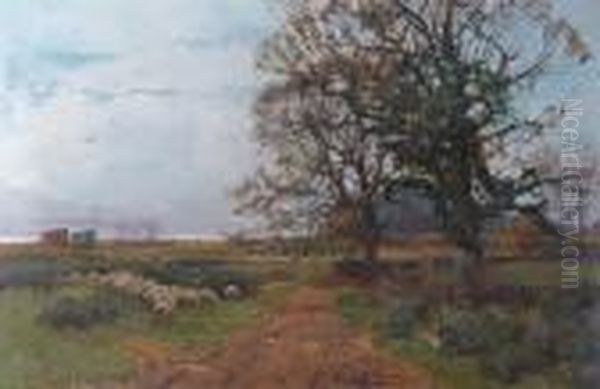 Sheep Grazing By A Country Track Oil Painting by Henry Charles Fox