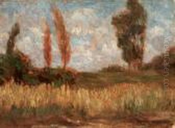 Paesaggio Lungo Il Sile Oil Painting by Pietro Fragiacomo