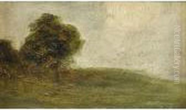 Paesaggio Con Albero Oil Painting by Pietro Fragiacomo