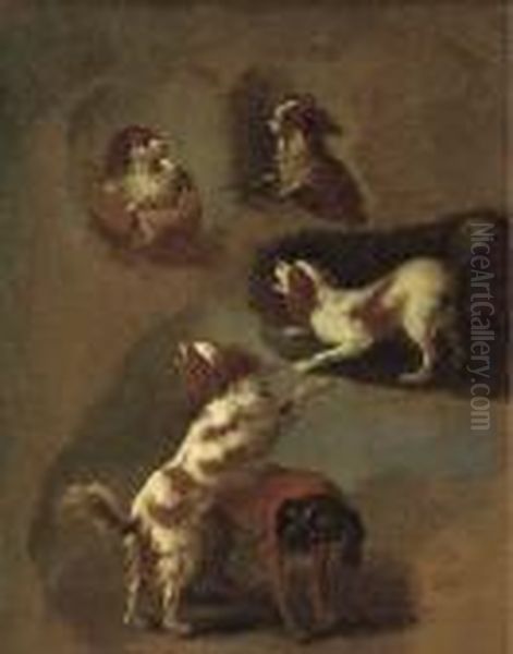 A Study Of Spaniels Oil Painting by Jean-Honore Fragonard