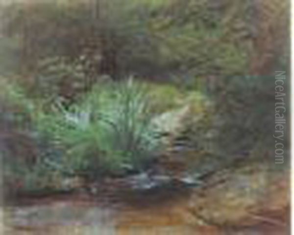 Vegetation Au Bord D'un Cours D'eau Oil Painting by Francois Louis Francais