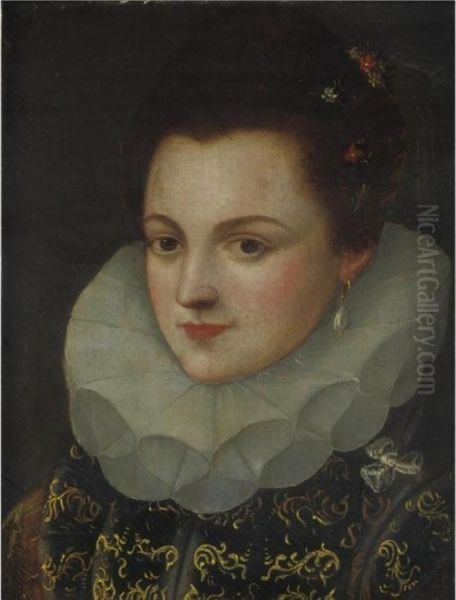 Portrait Of A Lady Wearing A Black Dress With Gold Brocade And A White Ruff Oil Painting by Frans II Francken