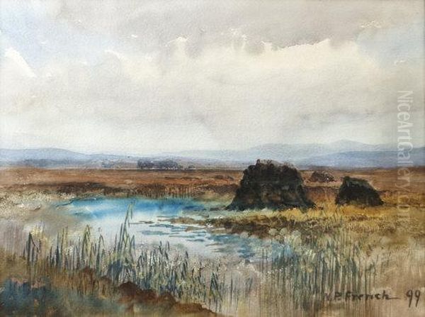 Connemara Bog Oil Painting by William Percy French