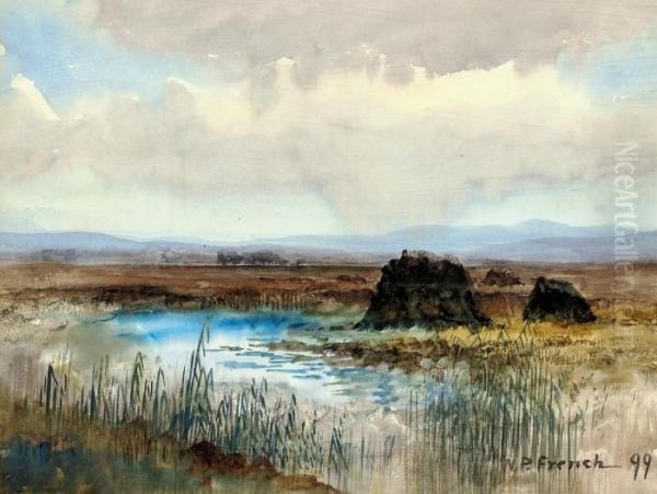 Connemara Bog Oil Painting by William Percy French