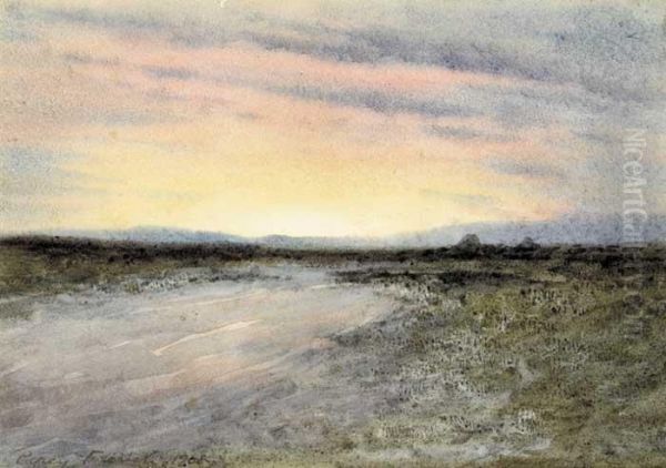 Evening Sunset Over The Bog Oil Painting by William Percy French