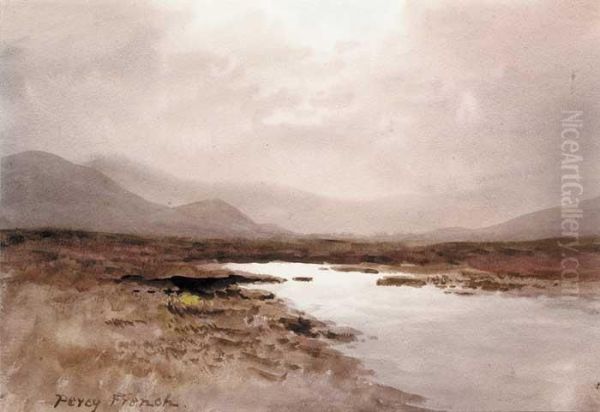 Sunlight Over Bog Oil Painting by William Percy French