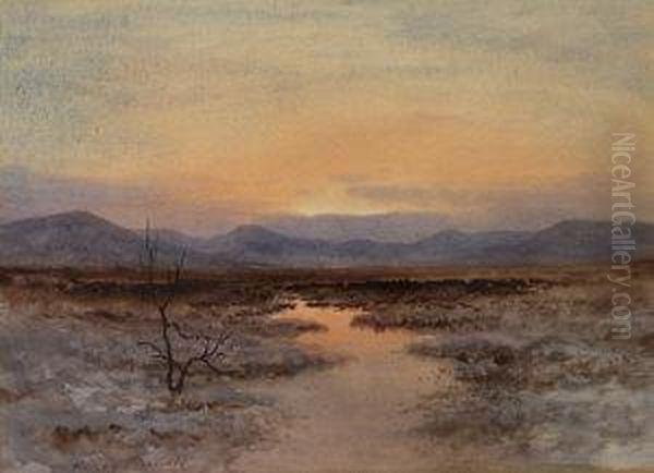 Marshland With Sunset Over Mountains In The Distance Oil Painting by William Percy French