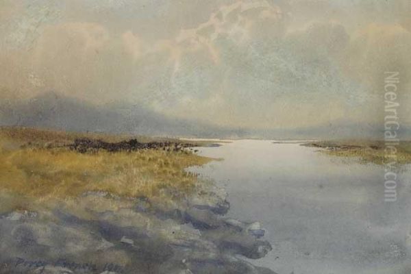 A Bogland River Oil Painting by William Percy French