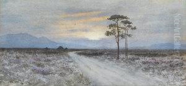 A Moorland Path At Sunset Oil Painting by William Percy French