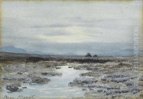 A Bog At Dusk Oil Painting by William Percy French