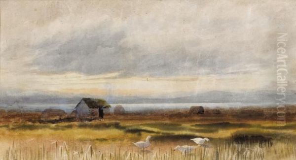 Bog Scene Oil Painting by William Percy French