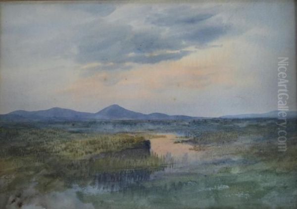 Croagh Patrick Watercolour, Sketch Of A Grassy Bank Verso Oil Painting by William Percy French