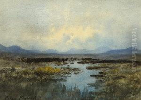 Bogland At Dusk Oil Painting by William Percy French