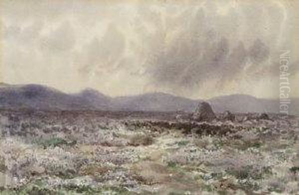 Turf Stacks & Bogland, Connemara Oil Painting by William Percy French