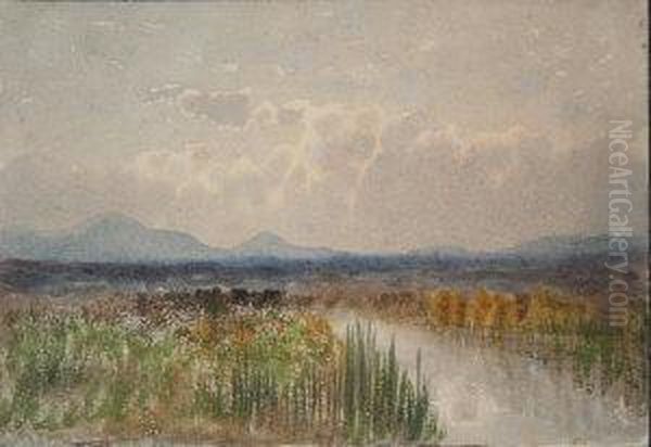 Bog Scene, West Of Ireland Oil Painting by William Percy French