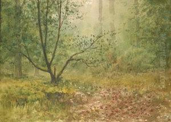 Woodland Scene Oil Painting by William Percy French