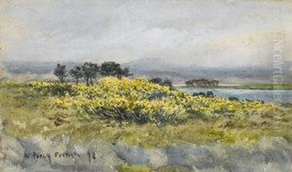 Gorse In Flower At Parknasilla, Co. Kerry Oil Painting by William Percy French