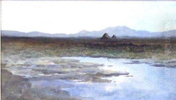 A Donegal Bog Oil Painting by William Percy French