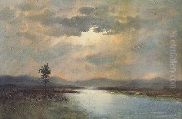 Sunlight On A River And Bog Landscape Oil Painting by William Percy French