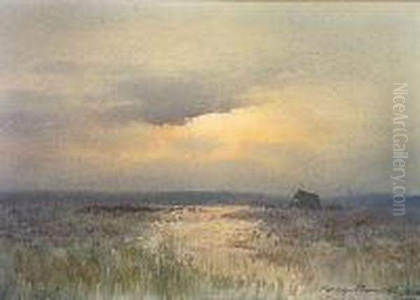 Sunset On The Bog Of Allen Oil Painting by William Percy French