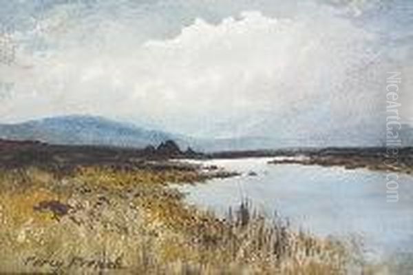 Bog Landscape With River Oil Painting by William Percy French