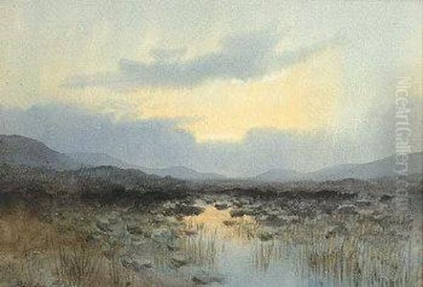 A Peat Bog At Dusk Oil Painting by William Percy French