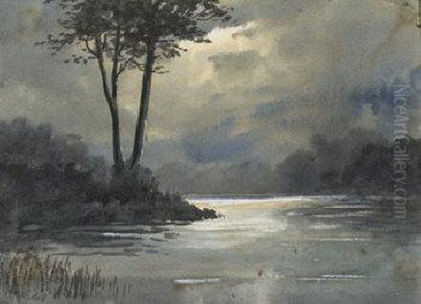 The River Falls; Moonlight On The Water; Geese On A Country Track Oil Painting by William Percy French