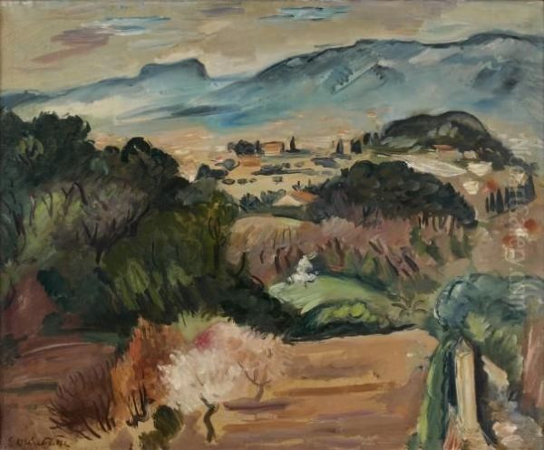 Paysage Des Environs De Toulon Oil Painting by Emile-Othon Friesz