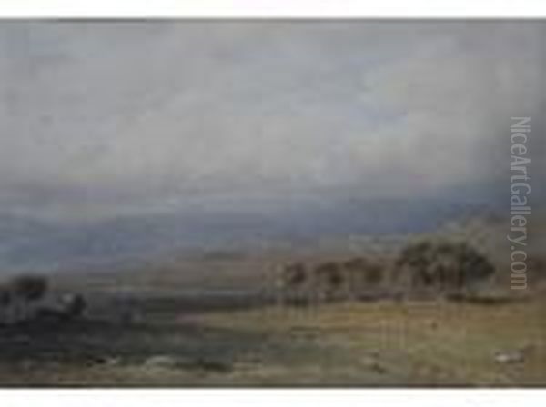 Sheep On The Moors Oil Painting by George Arthur Fripp