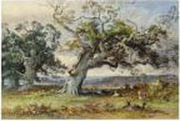 Deer In A Park Resting In The Shade Of An Old Oak Tree Oil Painting by George Arthur Fripp