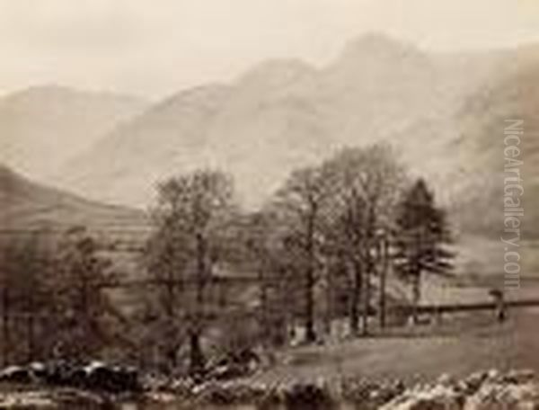 Albumen Prints Oil Painting by Francis Frith