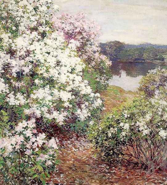 Mountain Laurel 1905 Oil Painting by Willard Leroy Metcalf