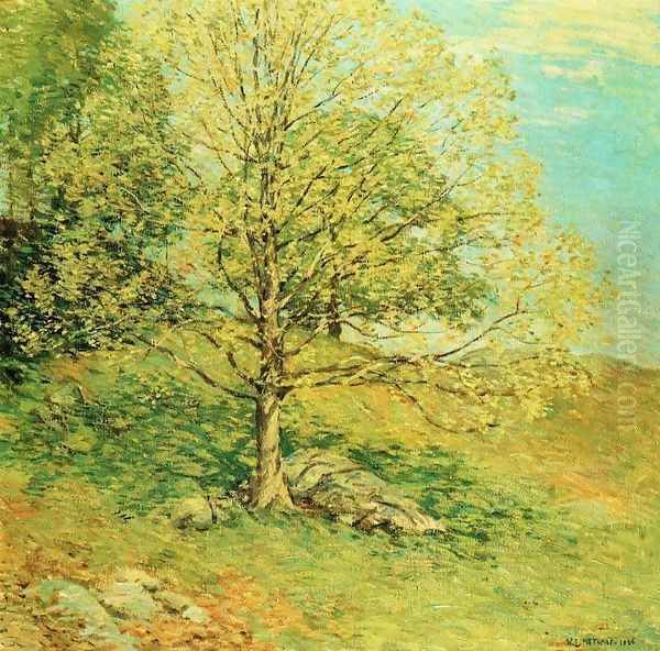 Budding Oak Oil Painting by Willard Leroy Metcalf