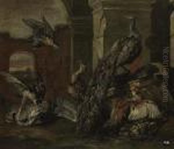 Falcons, A Crane, A Peacock And Other Birds In A Classicalruin Oil Painting by Jan Fyt