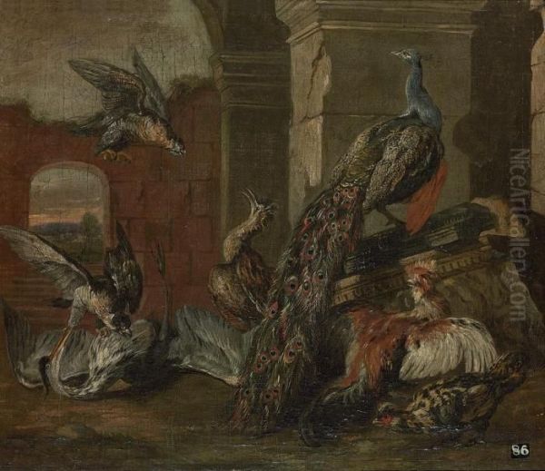 Falcons, A Crane, A Peacock And Other Birds In A Classical Ruin Oil Painting by Jan Fyt