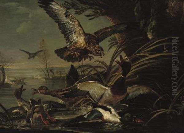 A Bird Of Prey Attacking Ducks On A River Oil Painting by Jan Fyt