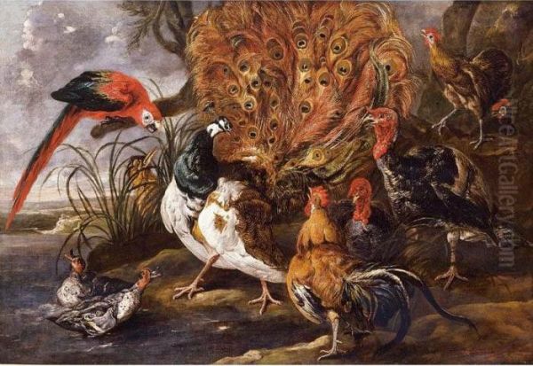 A Peacock In A Landscape With Roosters, Turkeys, Ducks, A Heron And A Parrot Oil Painting by Jan Fyt