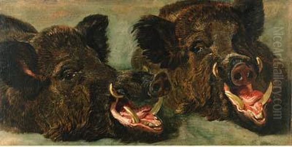 Studies Of The Head Of A Wild Boar Oil Painting by Jan Fyt