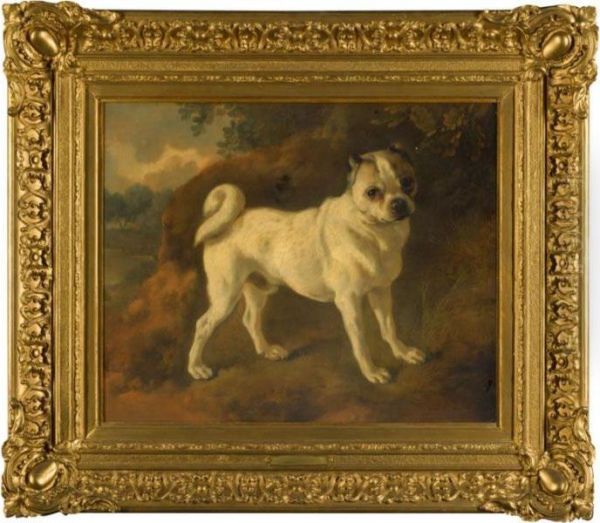 A Pug Oil Painting by Thomas Gainsborough