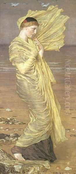 Sea-Gulls Oil Painting by Albert Joseph Moore