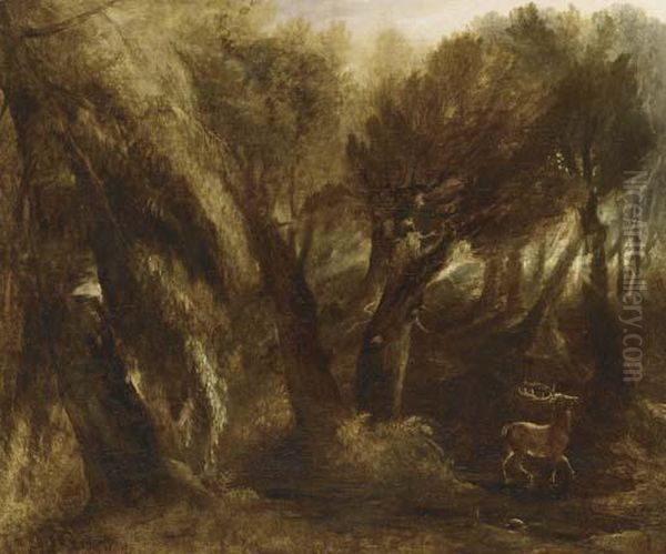 A Stag Watering In A Forest Glade Oil Painting by Thomas Gainsborough