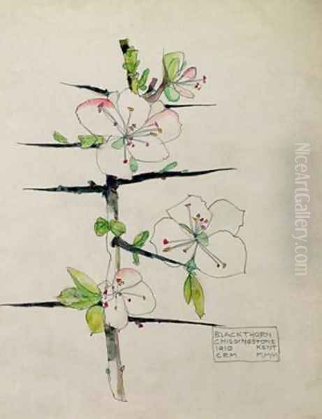 Blackthorn Chiddingstone Kent 1910 Oil Painting by Charles Rennie Mackintosh