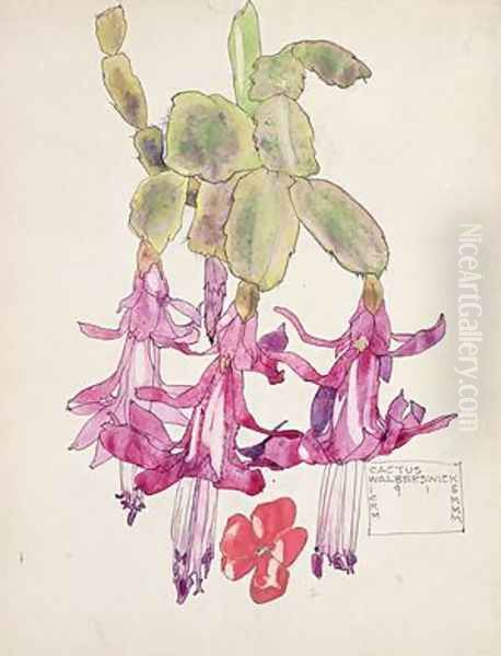 Cactus Flower Oil Painting by Charles Rennie Mackintosh