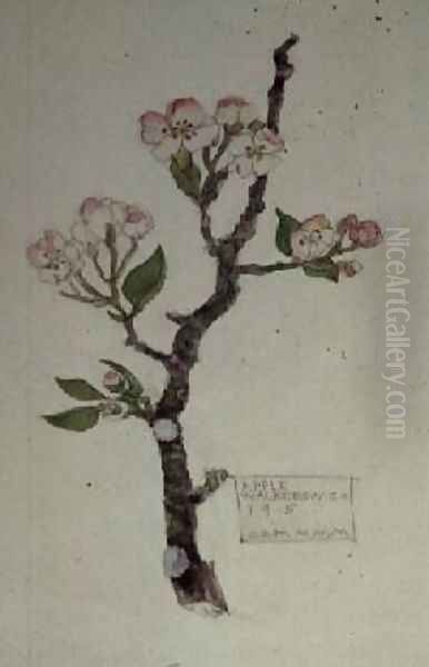 Apple Walberswick 1915 Oil Painting by Charles Rennie Mackintosh