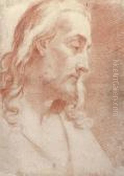 The Head Of Christ In Profile To The Right Oil Painting by Gaetano Gandolfi