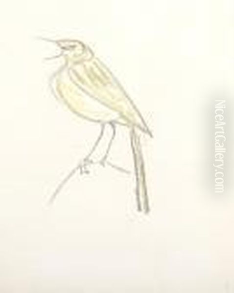 Study Of A Yellow Wagtail Oil Painting by Henri Gaudier-Brzeska