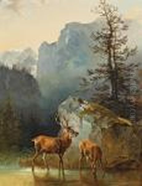 Hirsch Und Hirschkuh An Der Tranke Oil Painting by Friedrich Gauermann